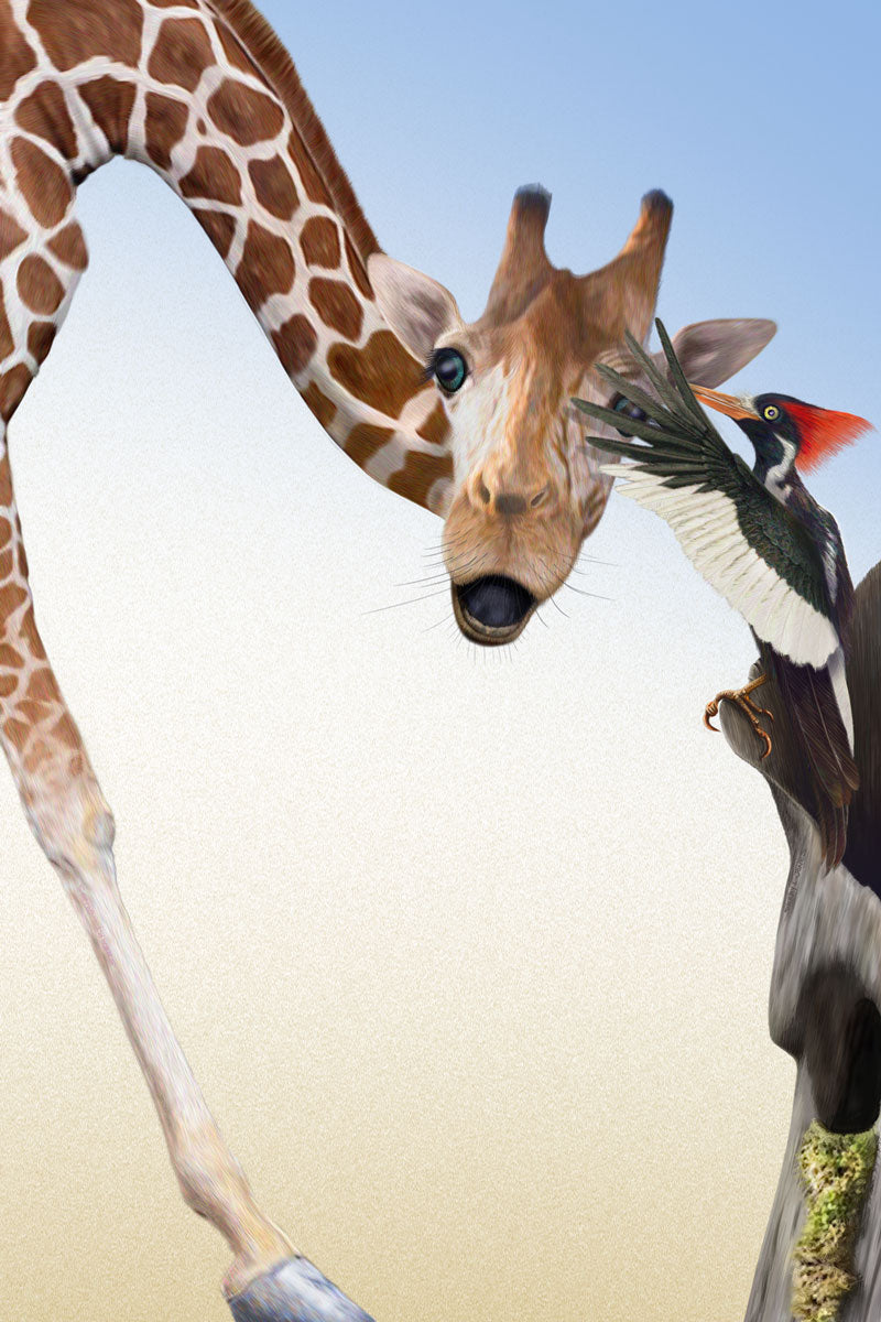Woodpecker whispering to Giraffe