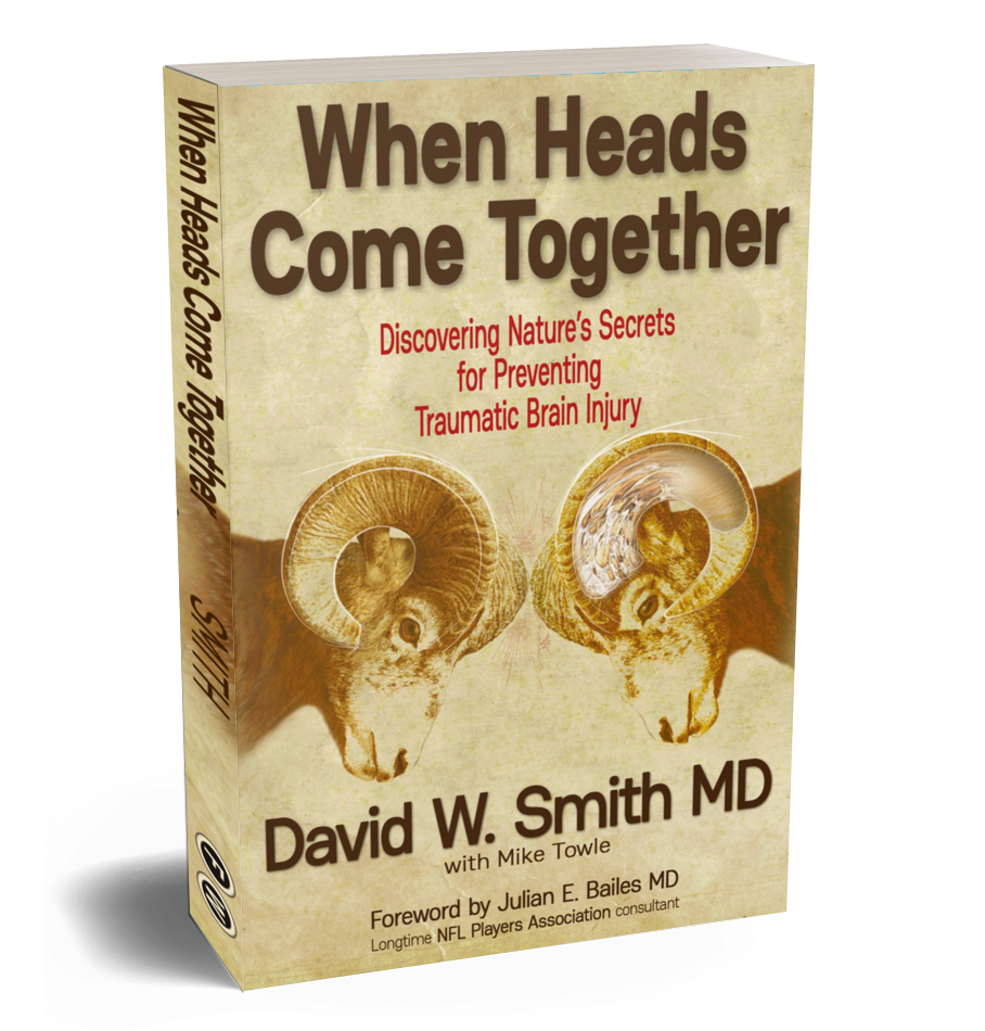 Book: When Heads Come Together