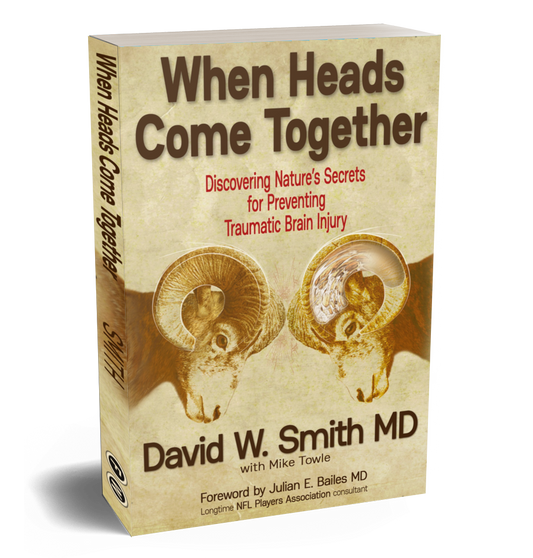 Book: When Heads Come Together